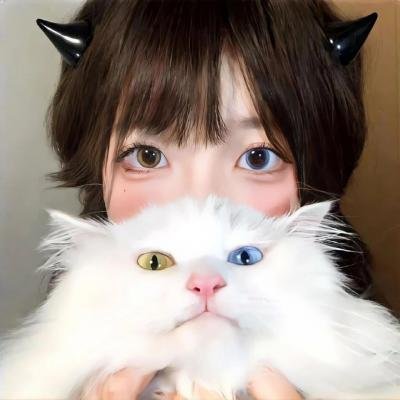 石纪元第四季 在线观看